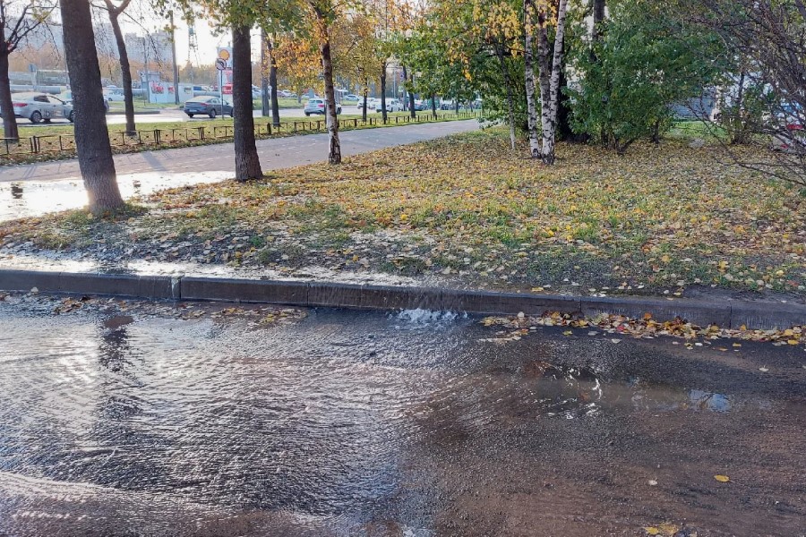 К чему снится вода на улице
