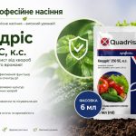 Квадріс захищає город