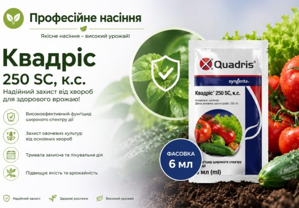 Квадріс захищає город