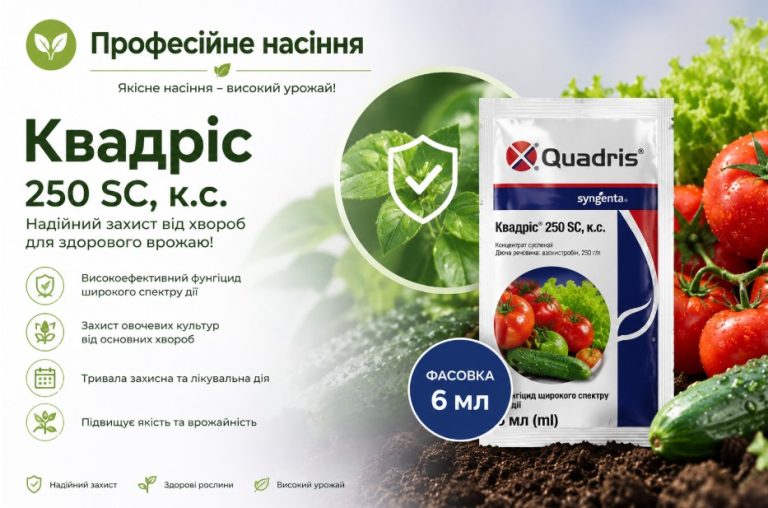 Квадріс захищає город