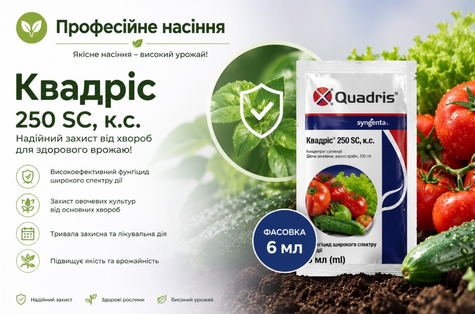 Квадріс захищає город
